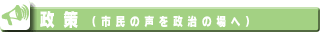 政策